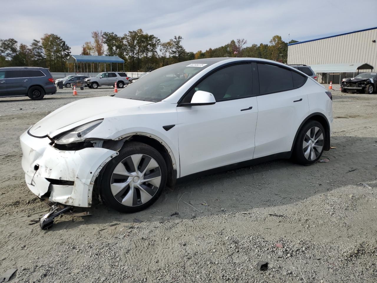 Lot #3287688020 2021 TESLA MODEL Y