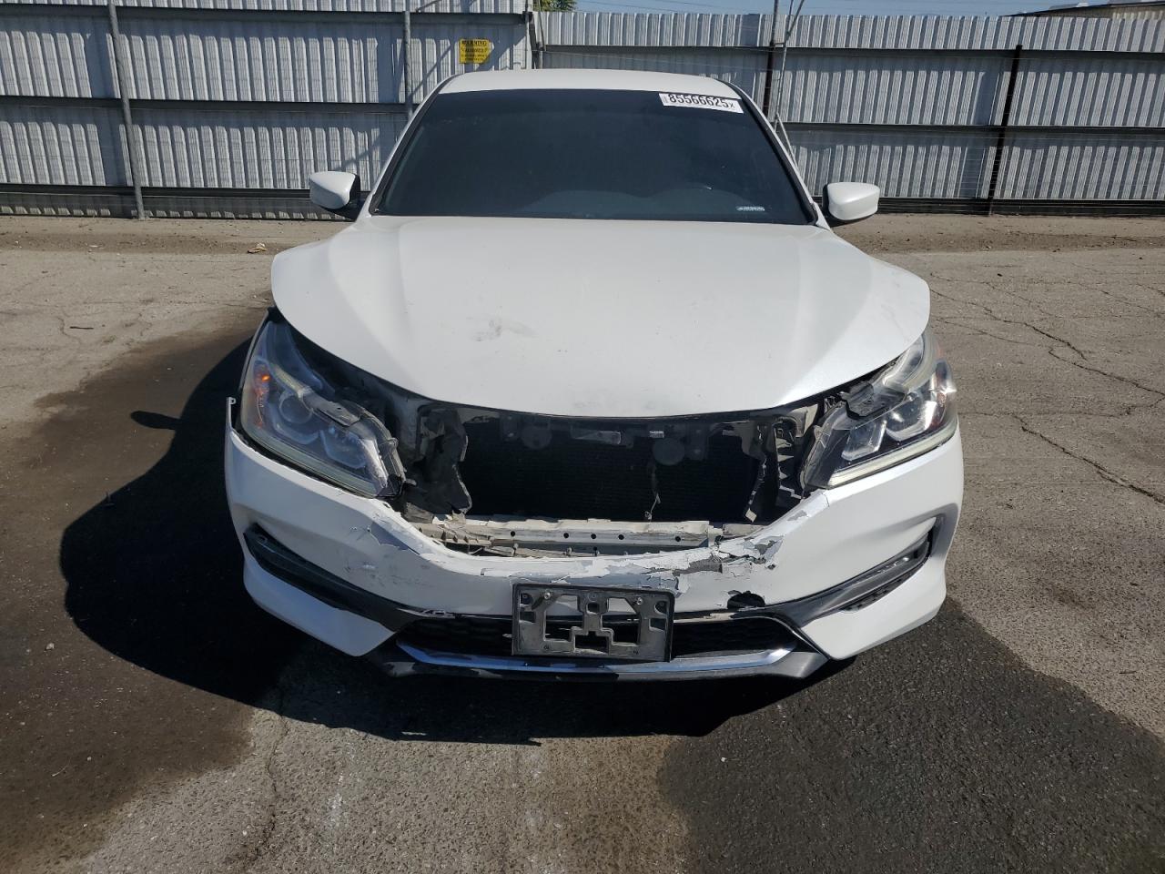 HONDA ACCORD SPORT SPECIAL EDITION