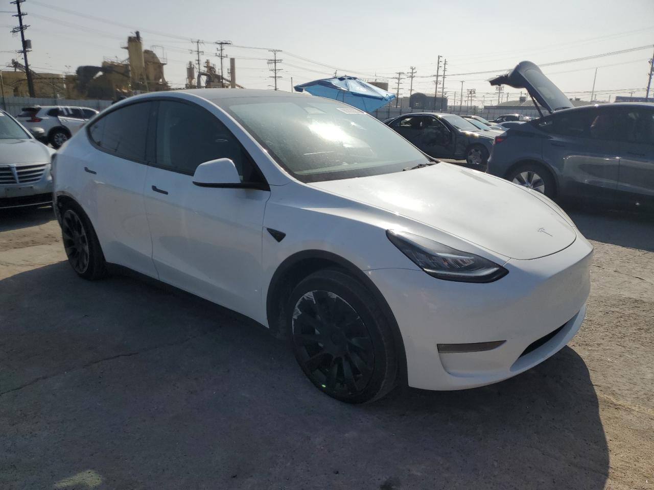 Lot #3308645499 2023 TESLA MODEL Y