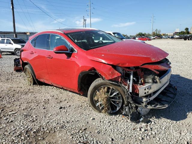 2024 LEXUS NX 350 PRE #3308217189