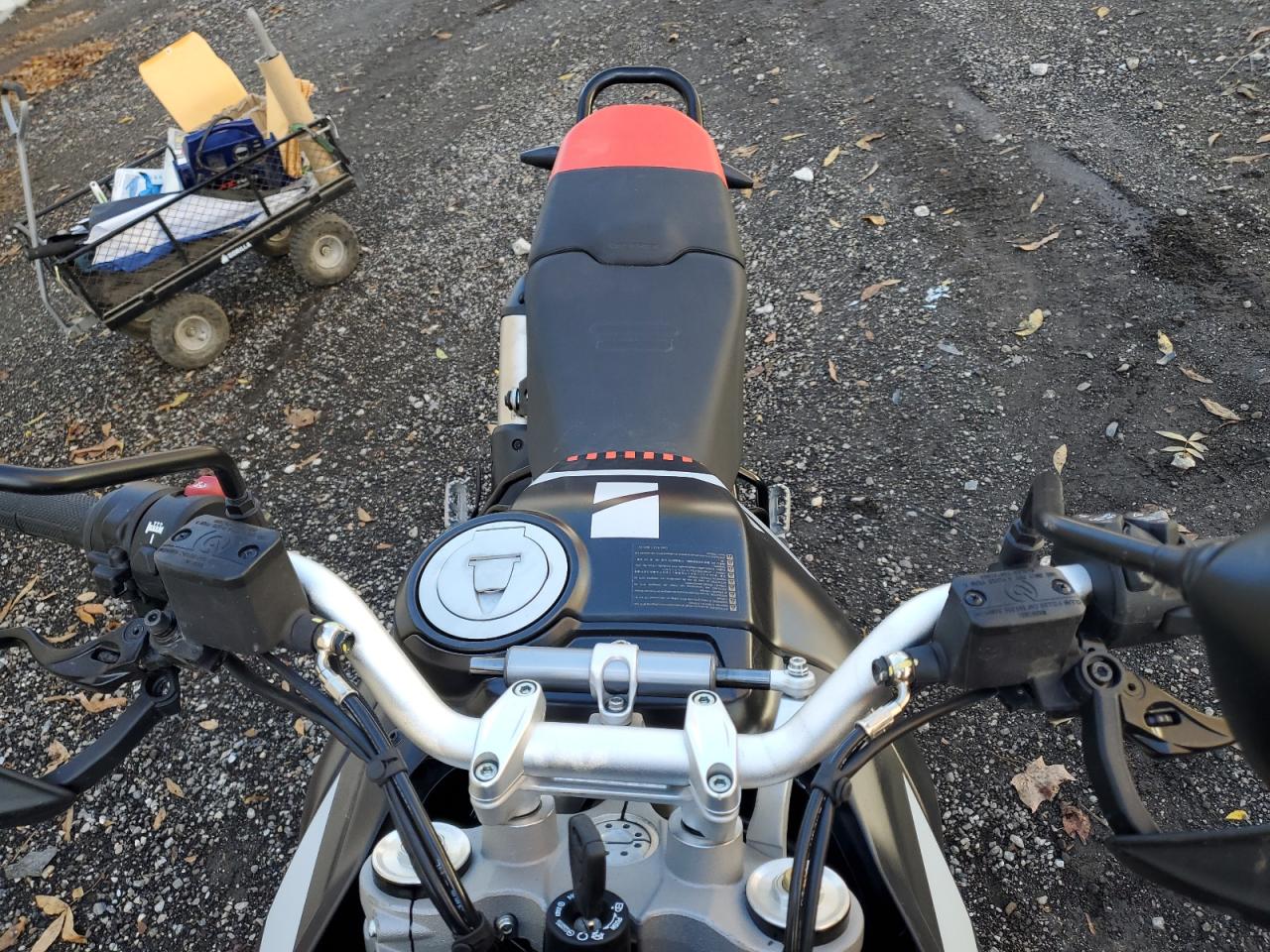 Lot #3291304451 2024 DUCATI DESERT X