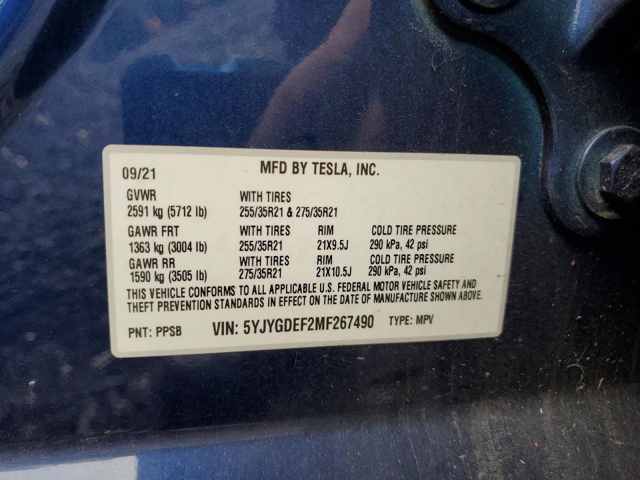 TESLA MODEL Y