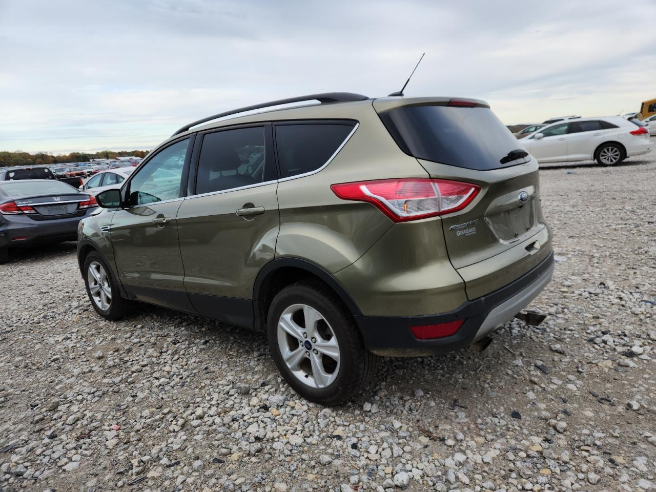 Lot #3287737180 2014 FORD ESCAPE SE