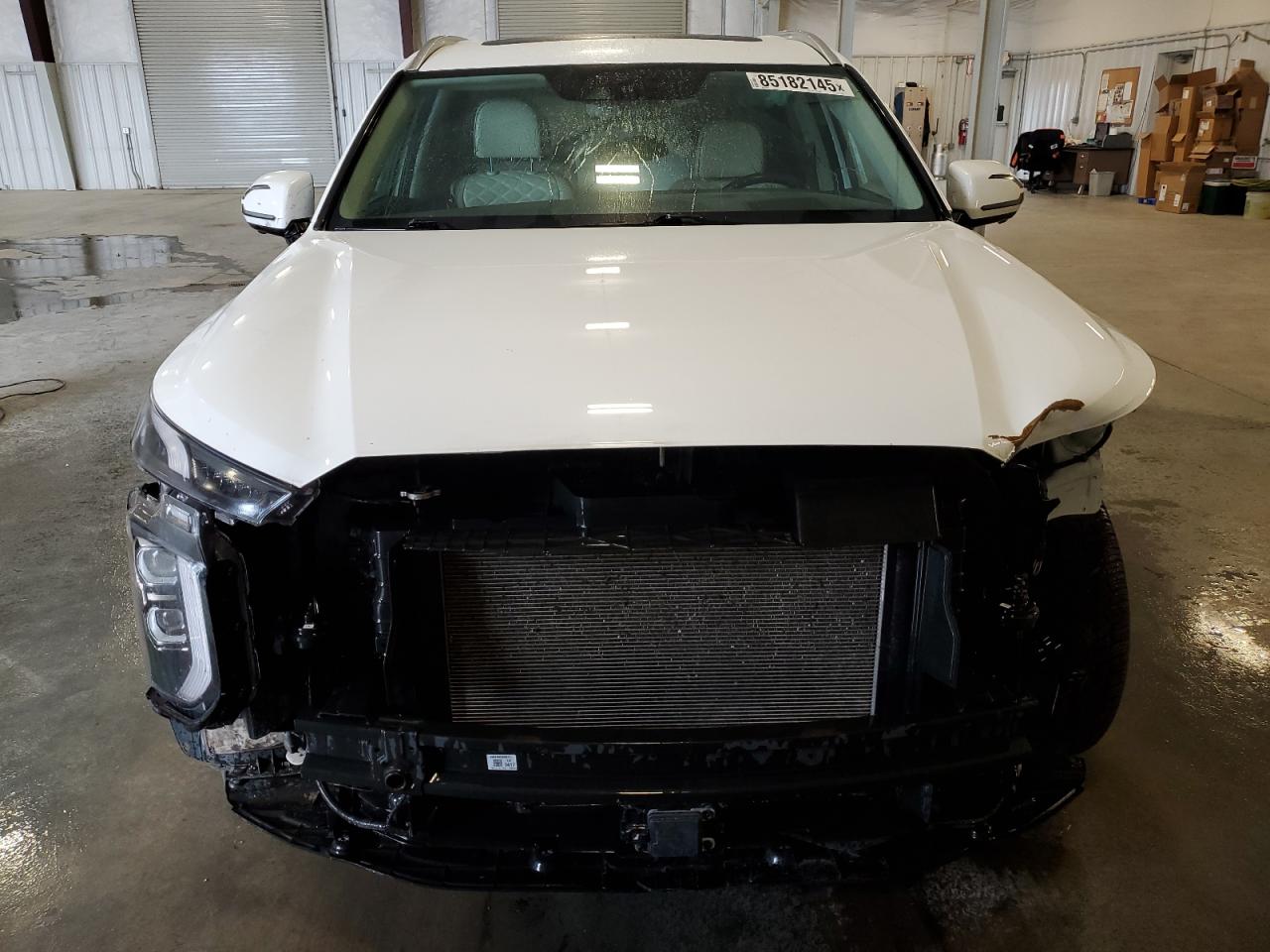 HYUNDAI PALISADE CALLIGRAPHY