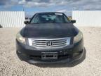 Lot #3304633939 2009 HONDA ACCORD EXL