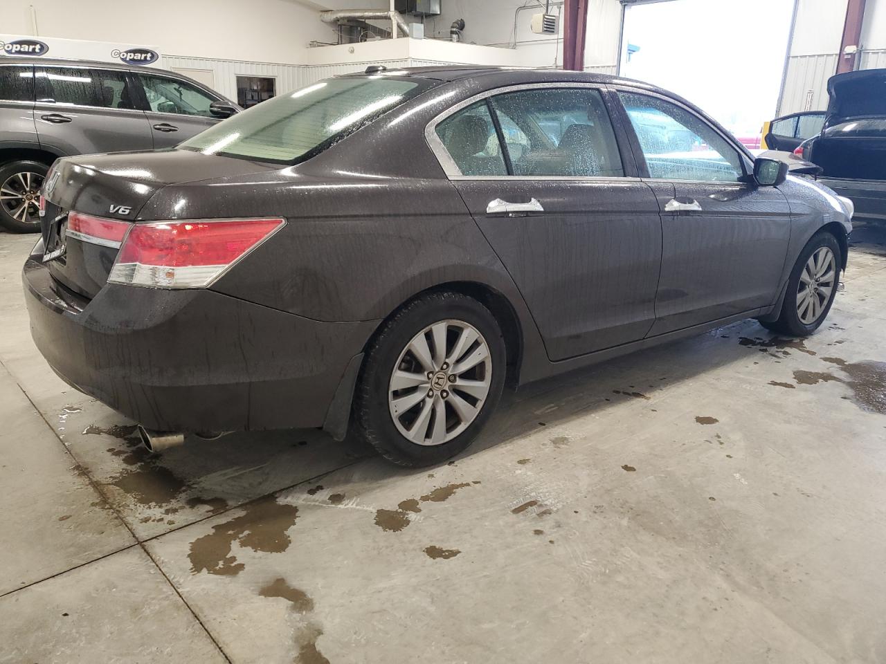 HONDA ACCORD EXL