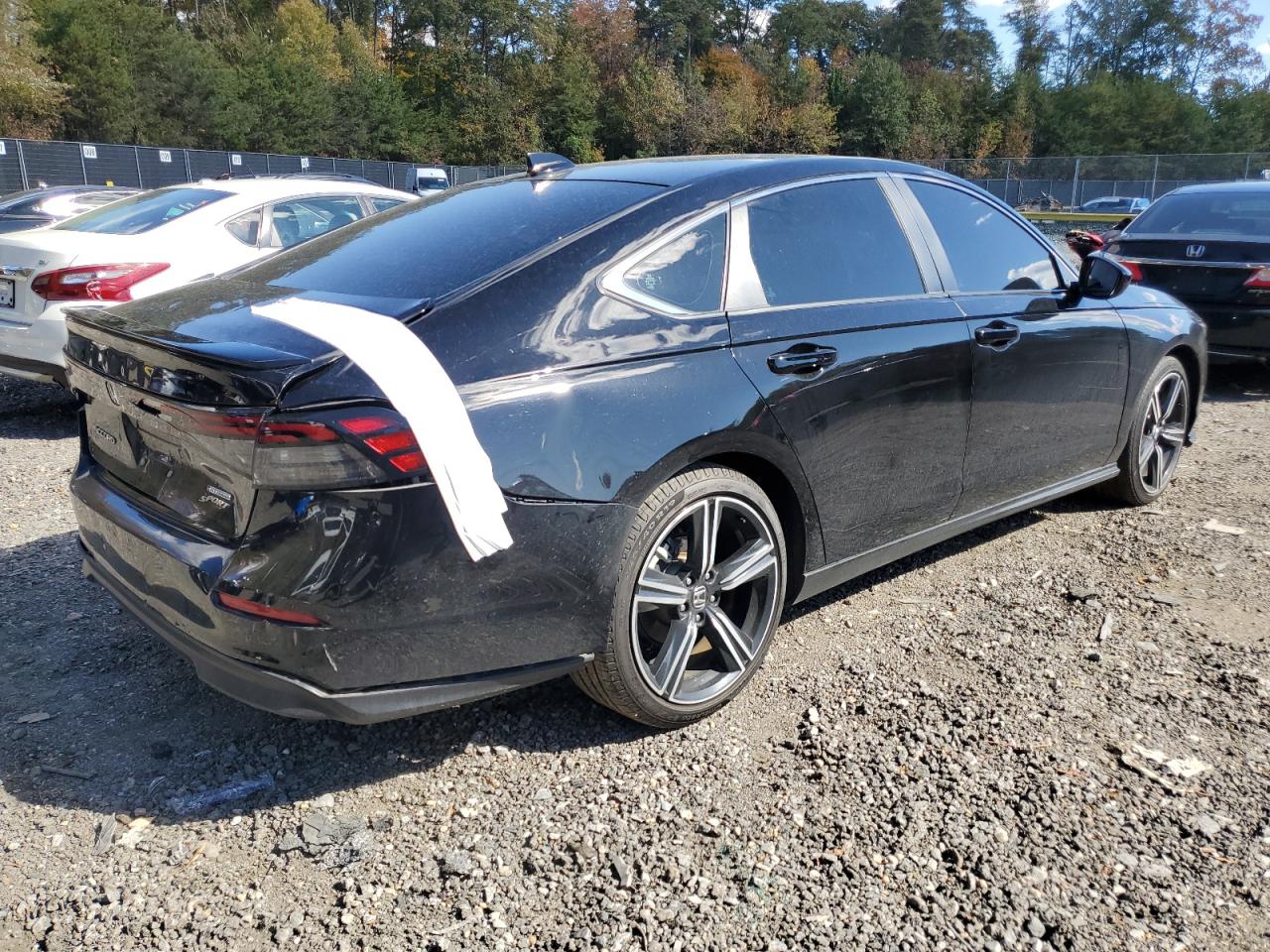 Lot #3309194624 2024 HONDA ACCORD HYB