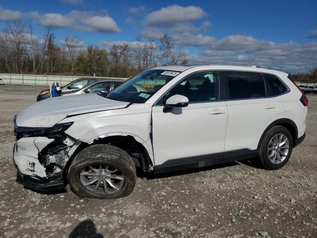 Global Auto Auctions: 2024 HONDA CR-V EXL