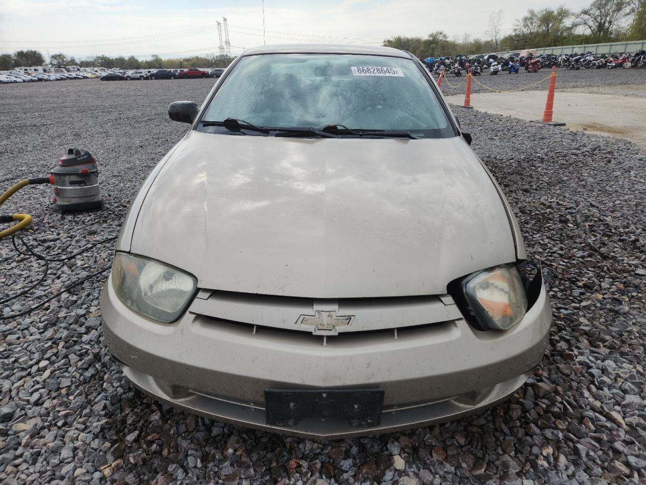Lot #3287786101 2004 CHEVROLET CAVALIER