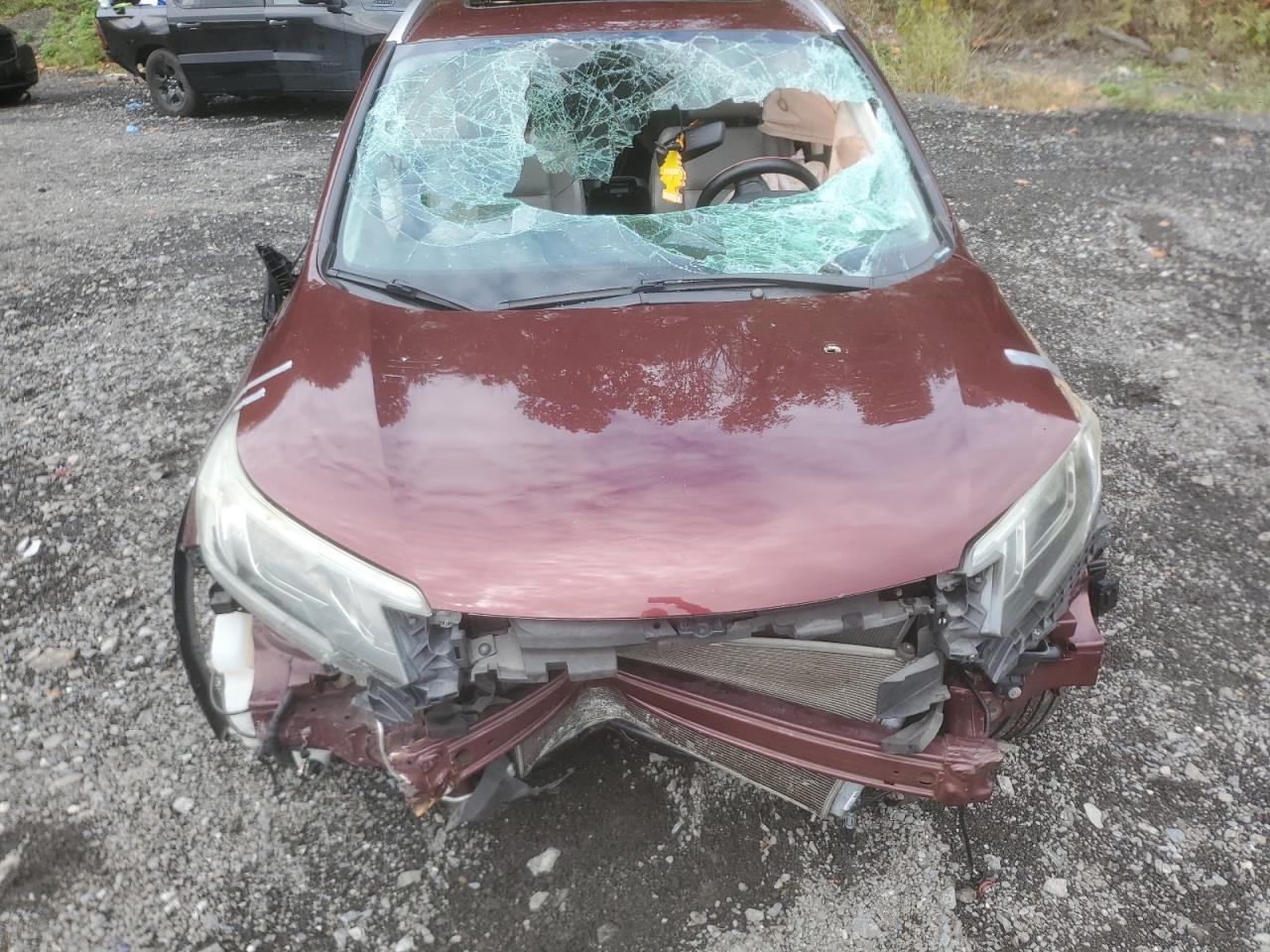 Lot #3310480042 2015 HONDA CR-V EXL