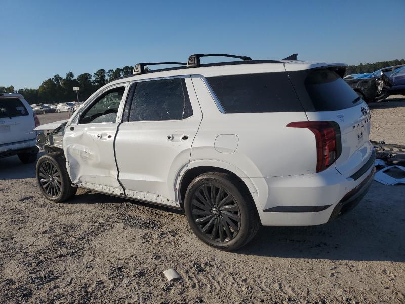 2024 HYUNDAI PALISADE C #3293428419