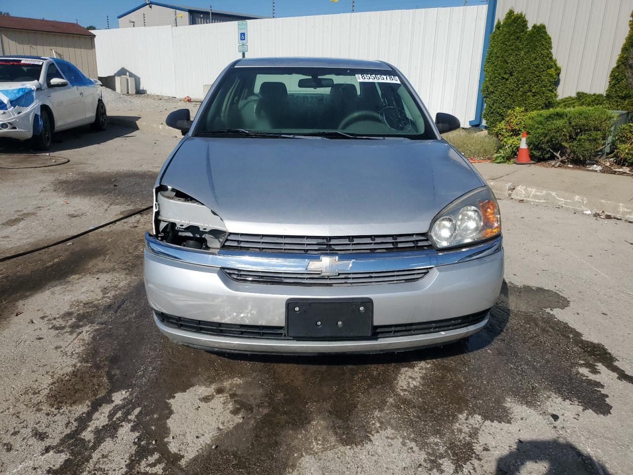 Lot #3282421269 2004 CHEVROLET MALIBU LS