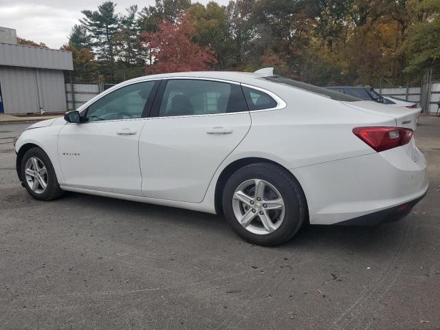 2023 CHEVROLET MALIBU LT - 1G1ZD5ST7PF210787