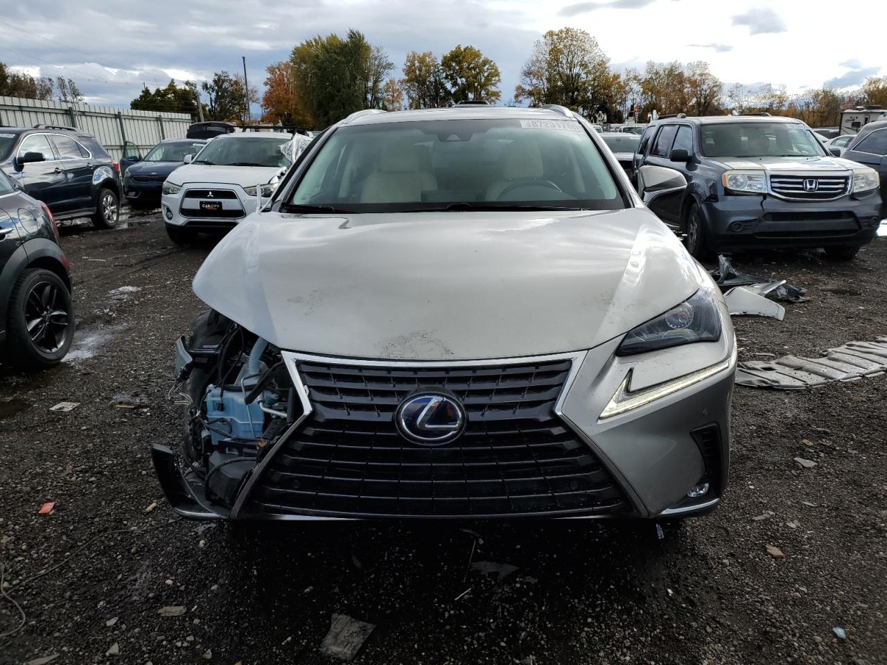 LEXUS NX 300H