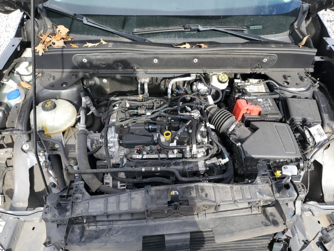 FORD BRONCO SPORT OUTER BANKS