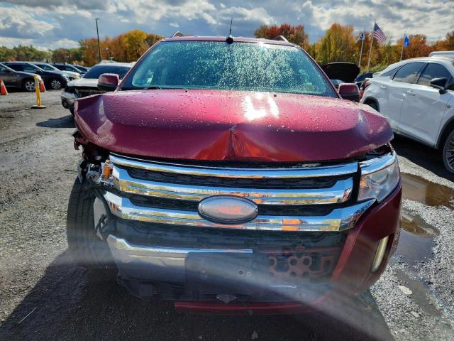 2013 FORD EDGE SEL - 2FMDK3JC1DBC69193