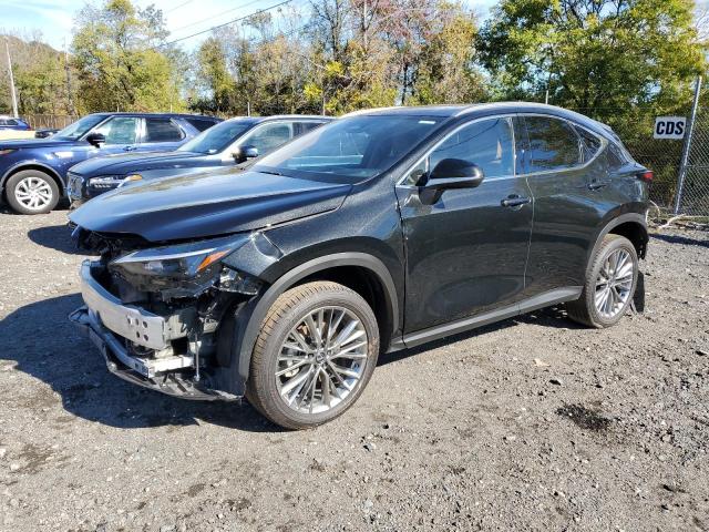 2025 LEXUS NX 350H BA JTJGKCEZ4S5036293