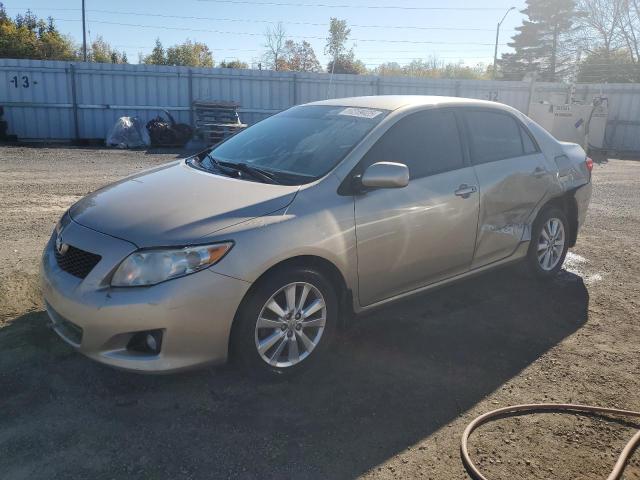 2010 TOYOTA COROLLA BASE - 2T1BU4EE9AC282350