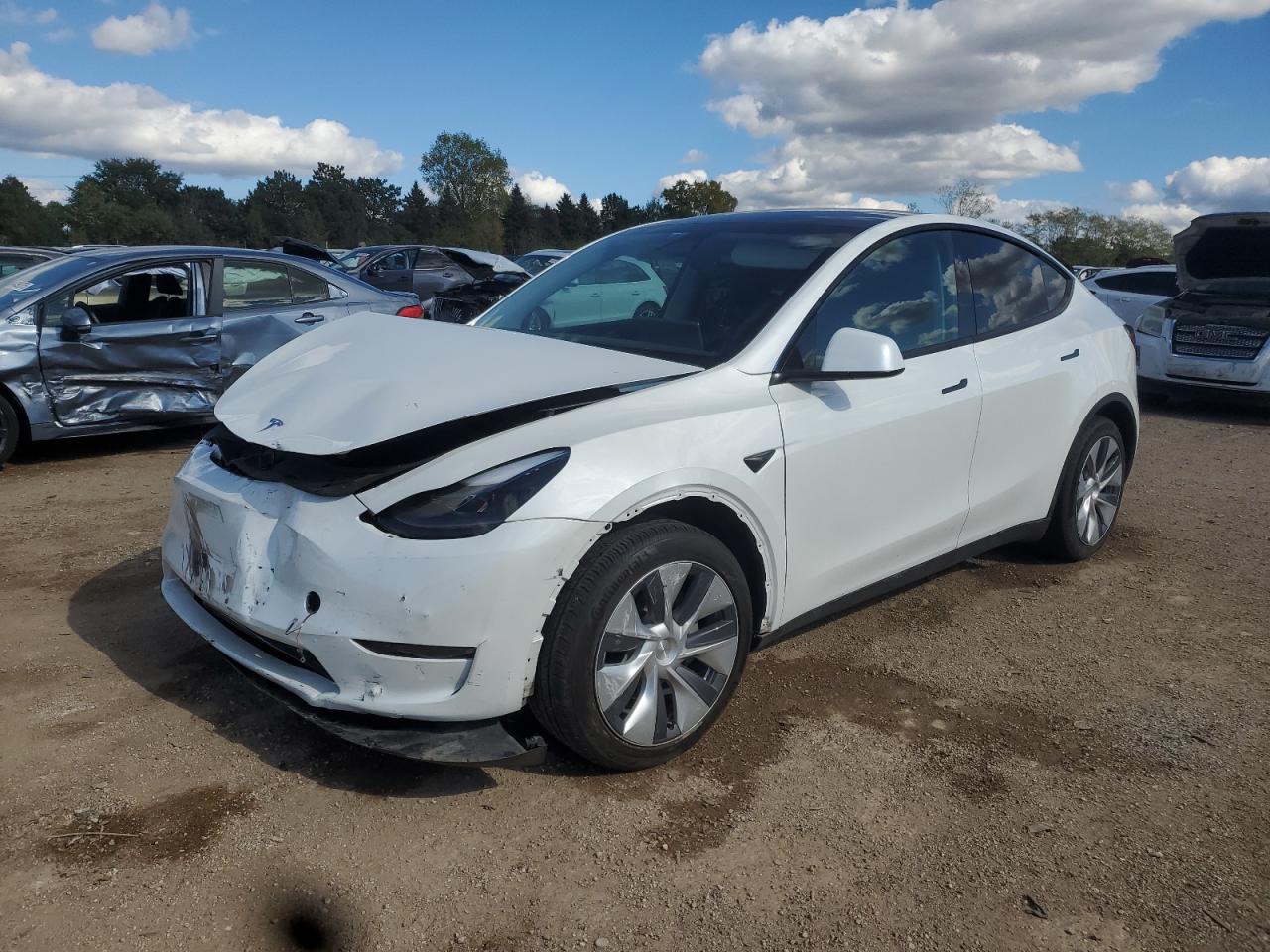 Lot #3282505886 2024 TESLA MODEL Y