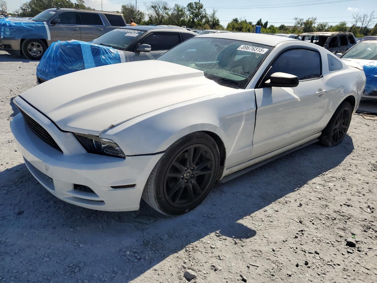 Lot #3279505258 2013 FORD MUSTANG