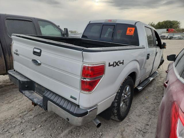 2010 FORD F150 SUPER - 1FTFW1EV4AFC97372