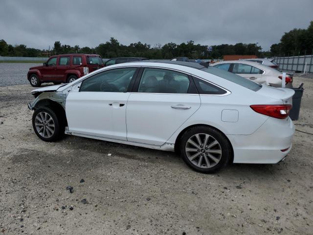 2016 HYUNDAI SONATA SPO - 5NPE34AF0GH307852