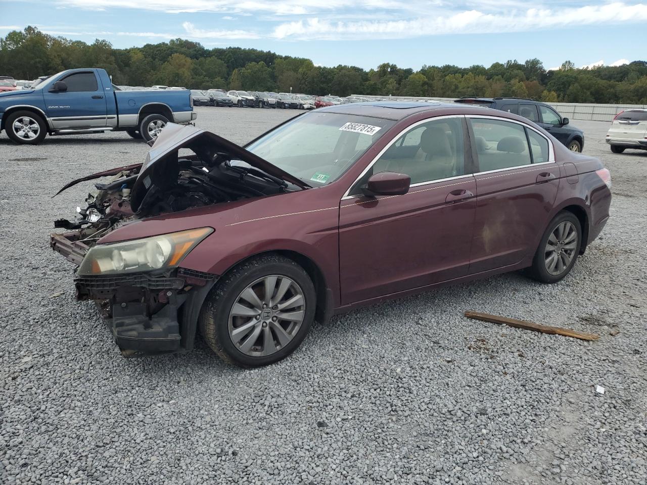 Lot #3292417593 2011 HONDA ACCORD EX