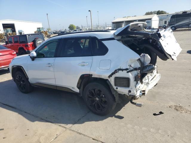 2023 TOYOTA RAV4 SE JTM16RFV9PD101275