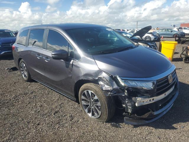 2024 HONDA ODYSSEY EXL #3312552871
