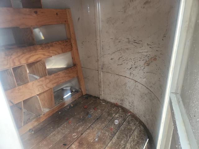 2020 CALICO UNKNOWN #3294405508