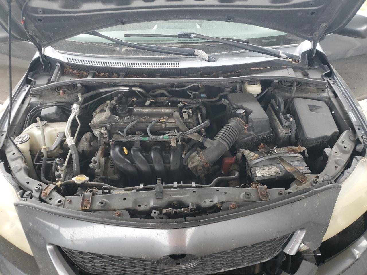 Lot #3266053318 2009 TOYOTA COROLLA