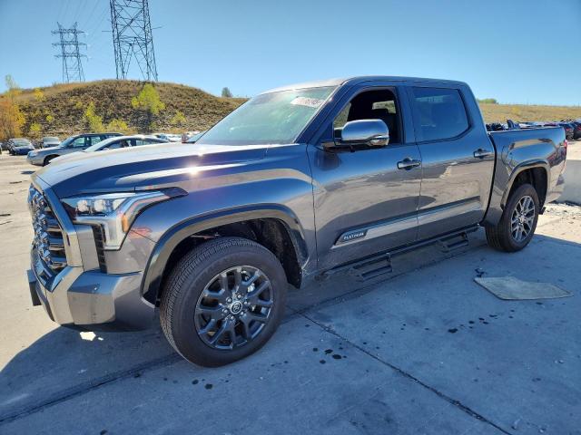 2023 TOYOTA TUNDRA CREWMAX PLATINUM 5TFNA5DB8PX116026