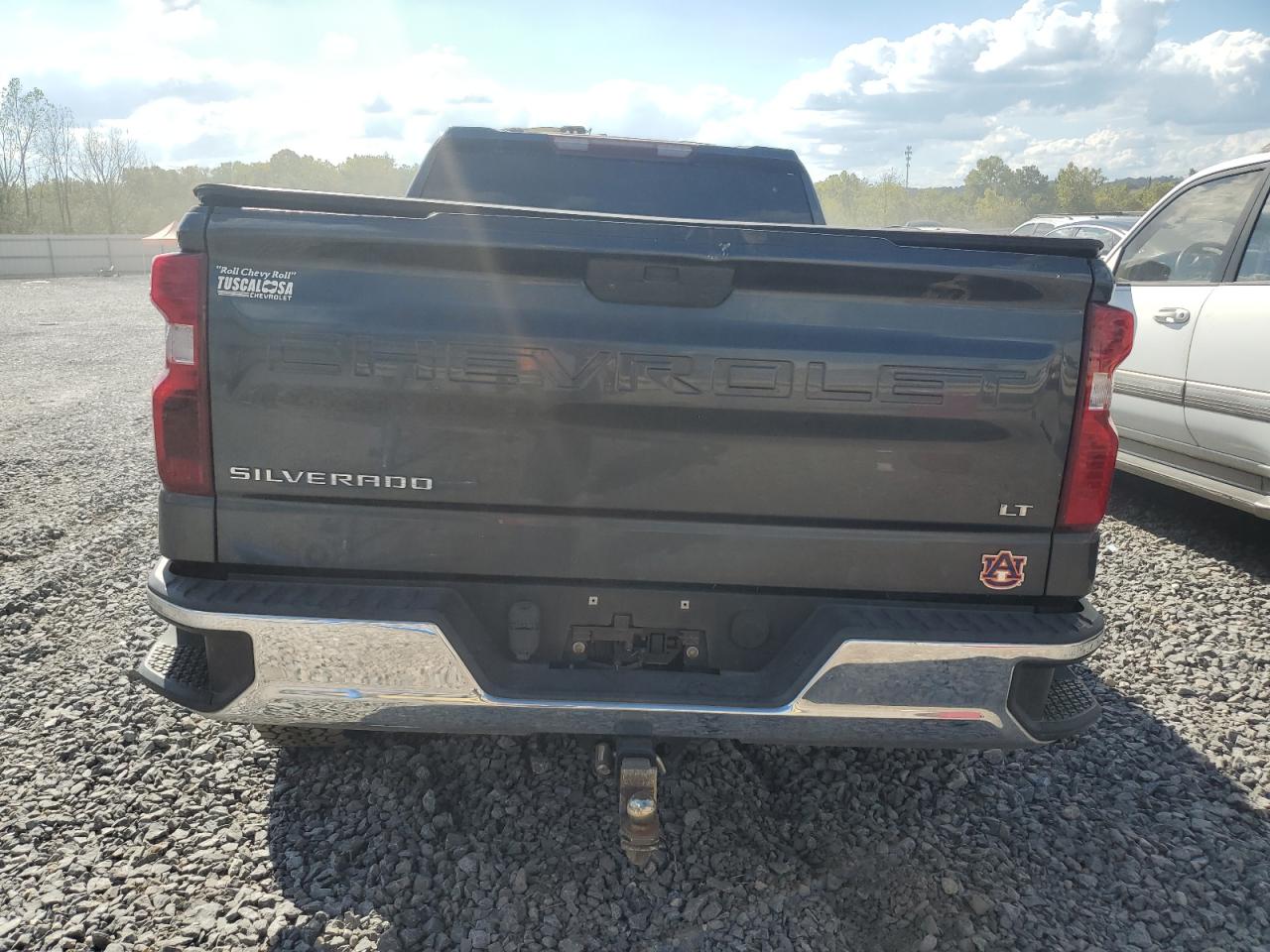 Lot #3302869897 2019 CHEVROLET SILVERADO C1500 LT