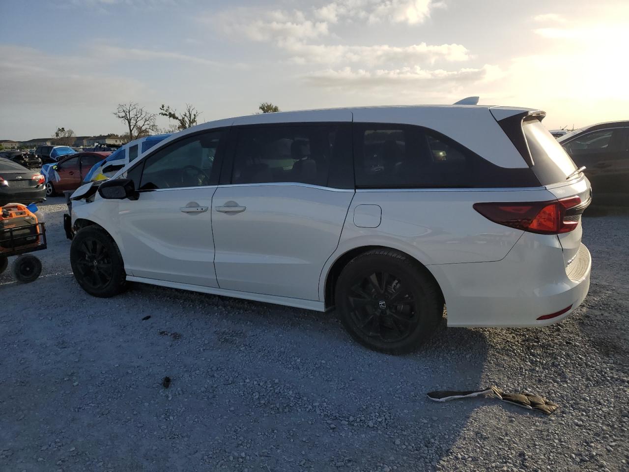HONDA ODYSSEY SPORT