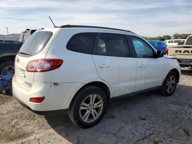 2010 HYUNDAI SANTA FE G - 5NMSGDAB9AH416674