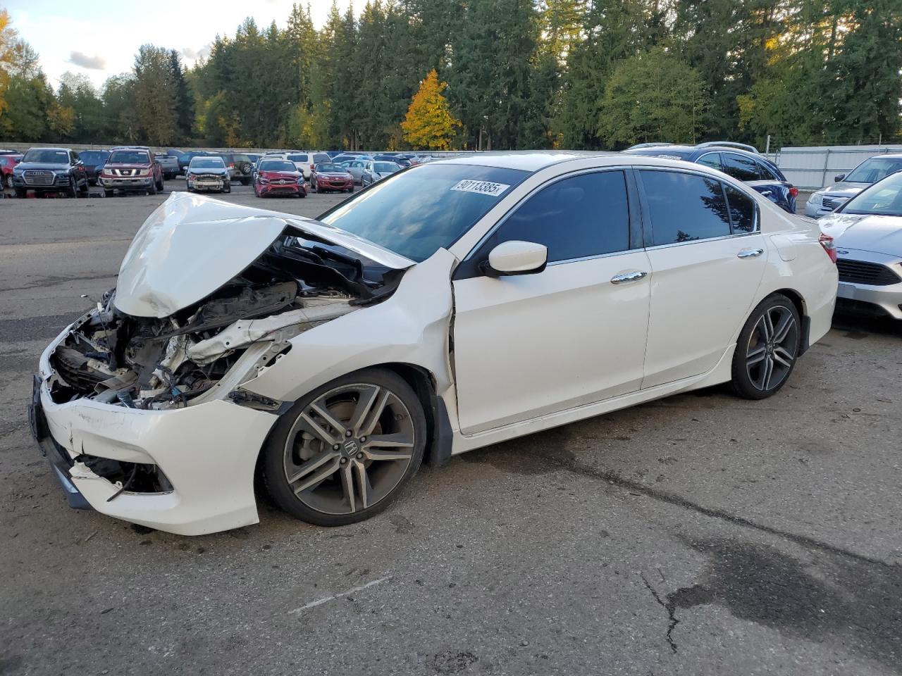 HONDA ACCORD SPORT SPECIAL EDITION