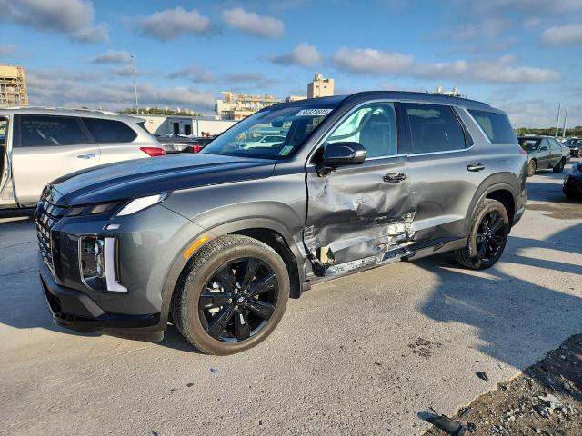 HYUNDAI PALISADE X