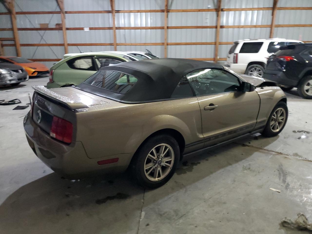 Lot #3302693019 2005 FORD MUSTANG