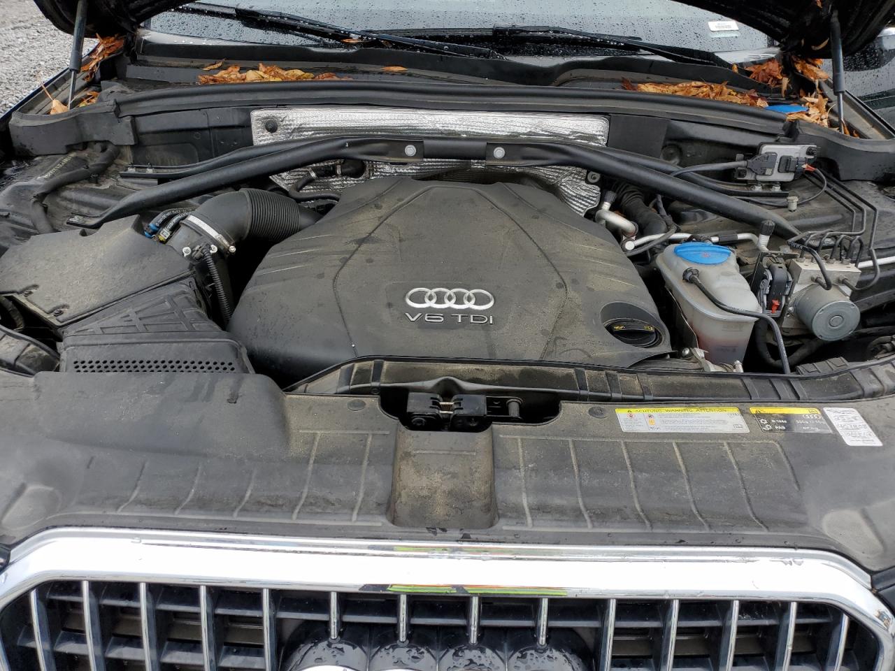 AUDI Q5 TDI PREMIUM PLUS