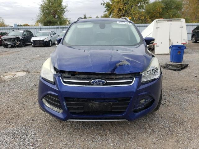 2014 FORD ESCAPE TIT - 1FMCU0J94EUD11313