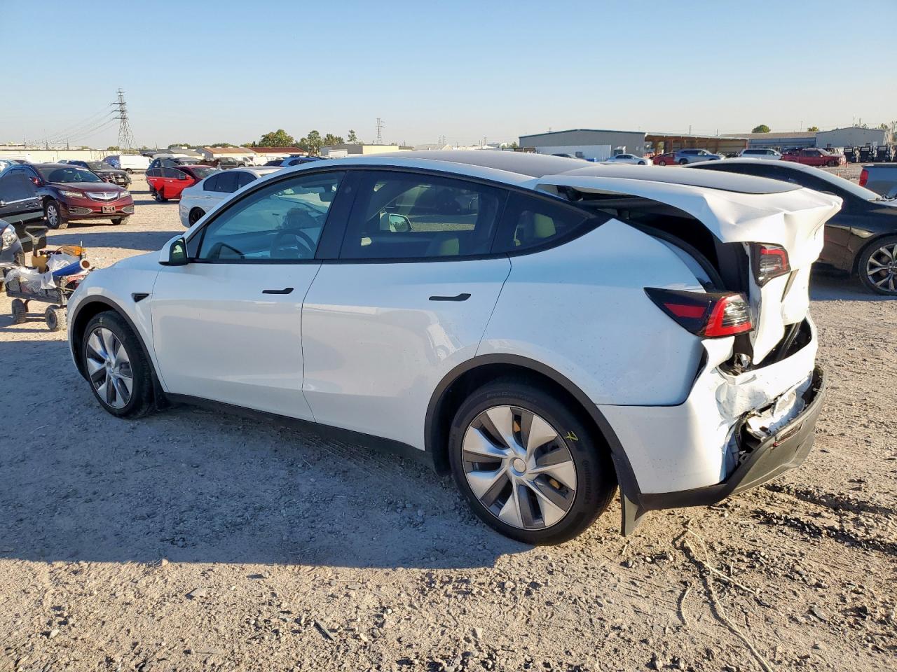 Lot #3304817542 2023 TESLA MODEL Y