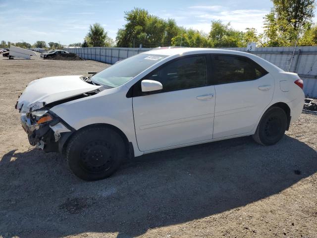 TOYOTA COROLLA EC