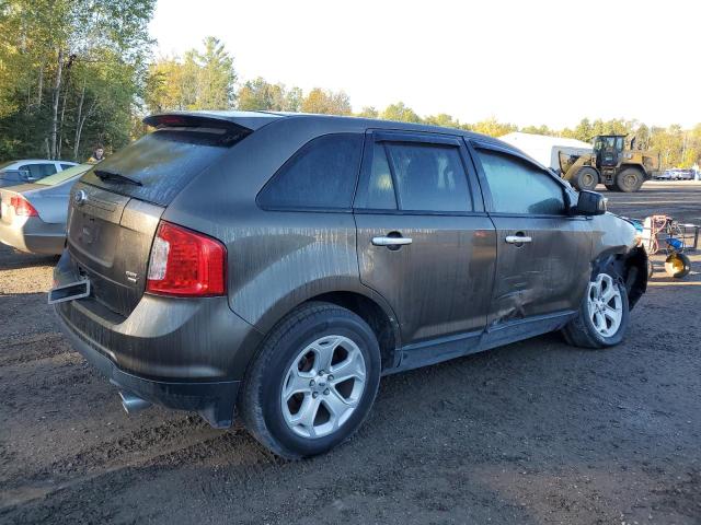 2011 FORD EDGE SEL - 2FMDK4JC1BBA48731