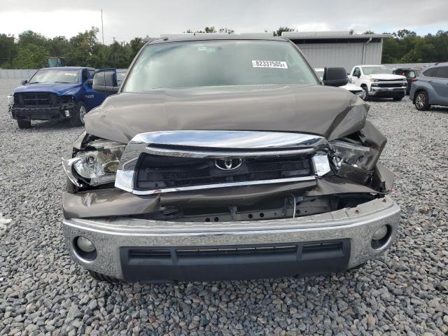 2010 TOYOTA TUNDRA DOUBLE CAB SR5 - 5TFUW5F14AX154863