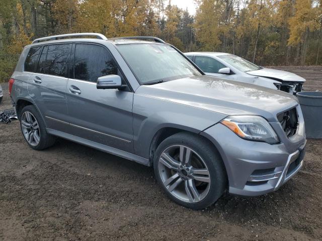 2014 MERCEDES-BENZ GLK 250 BL - WDCGG0EB0EG283187