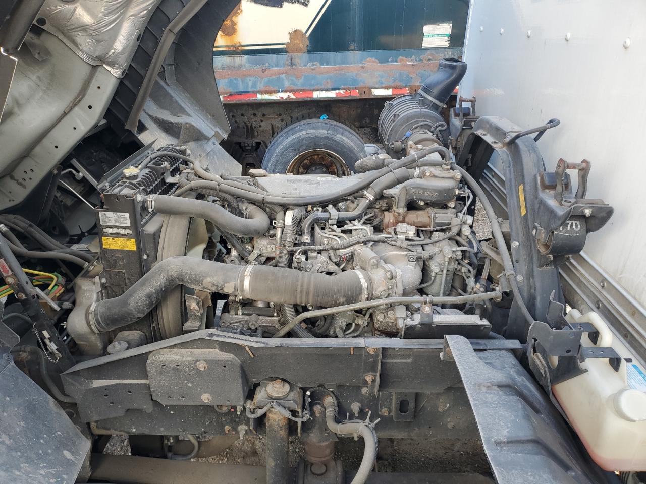 Lot #3284116548 2020 ISUZU FTR