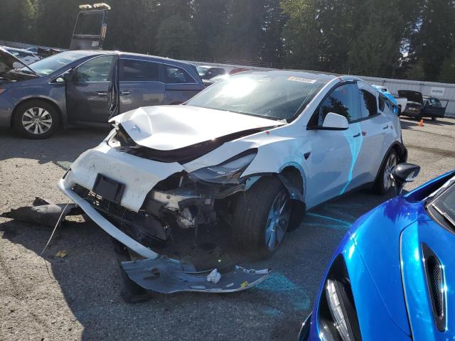 Global Auto Auctions: 2023 TESLA MODEL Y