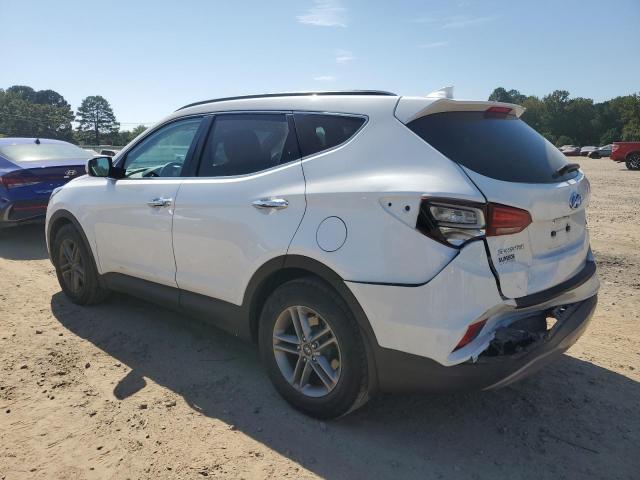 2017 HYUNDAI SANTA FE S - 5NMZU3LB0HH010615