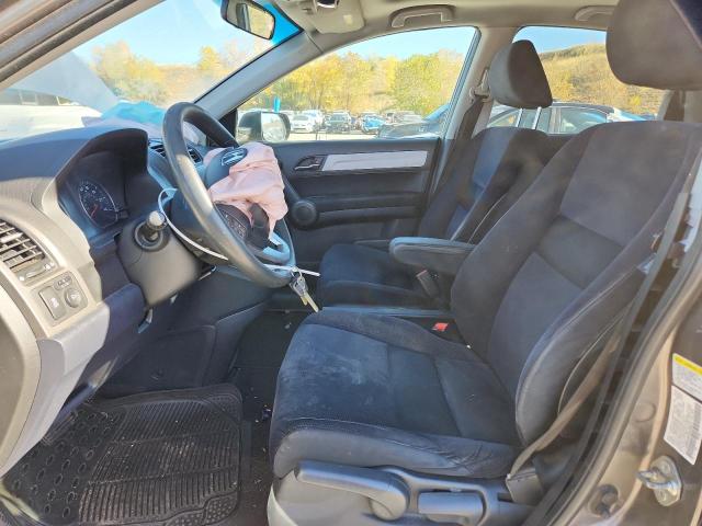 2010 HONDA CR-V EX - 5J6RE4H5XAL000419