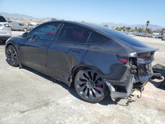 2024 TESLA MODEL Y - 7SAYGDEF5RF085454